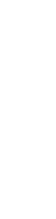 新鮮卵フレンチトースト